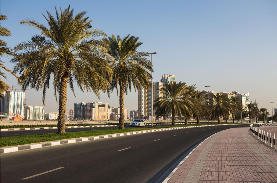 Entrepreneur working UAE free zone company setup